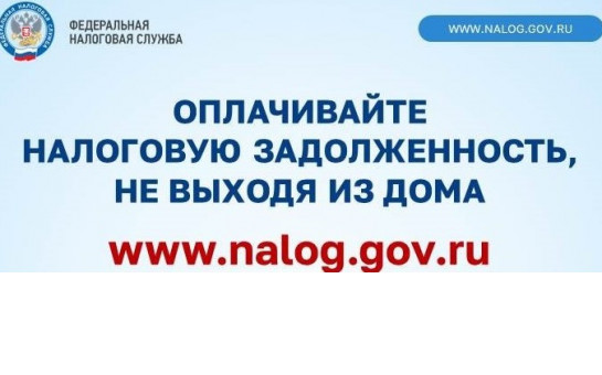 Как узнать о наличии налоговой задолженности и погасить ее